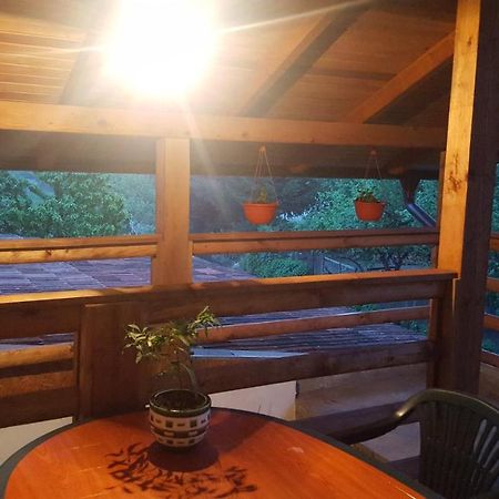 Studio Apartman Sajra Kulen Vakuf Ngoại thất bức ảnh